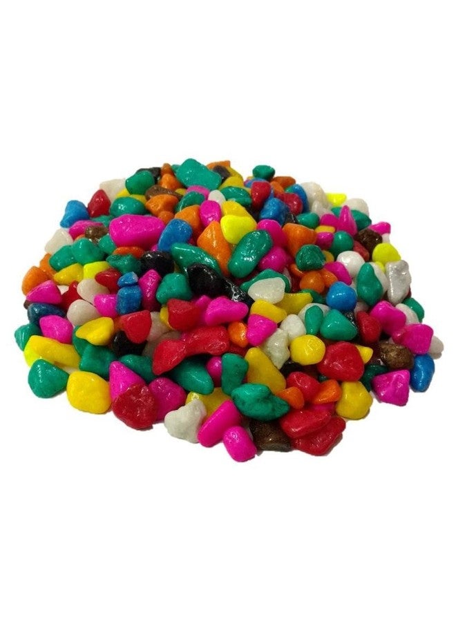 Afast Multicolor Pabbles/Stone for Garden, Plants, Aquarium & Home Decor, Marvels, Decoration, Fish Aquarium, Vase Filler, 0.5 KG -AAA1 - Image 1